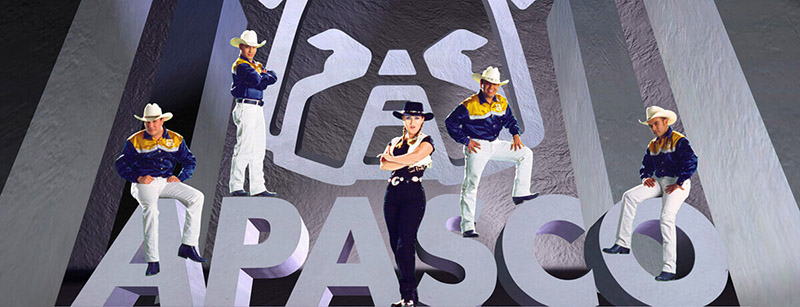 Caso éxito Holcim Apasco